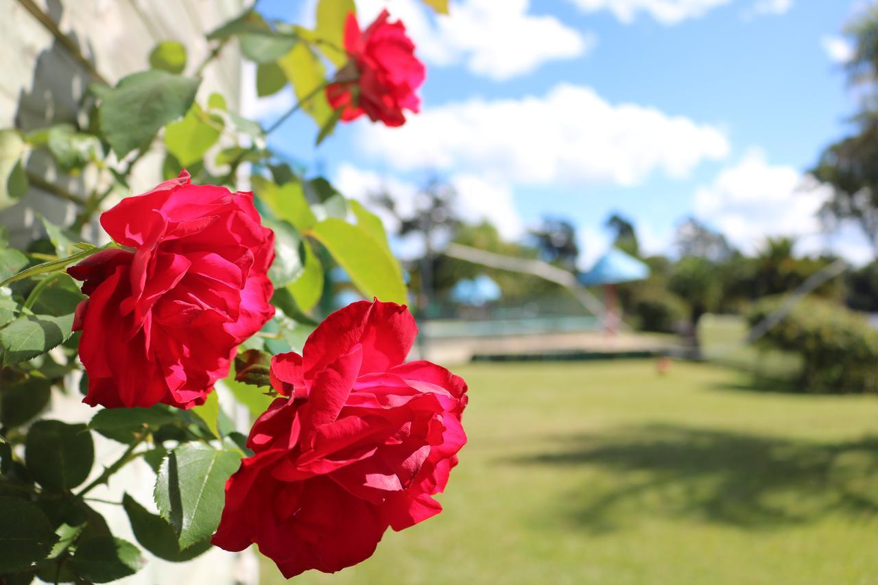 Haruru Falls Motel & Conference Centre Paihia Εξωτερικό φωτογραφία